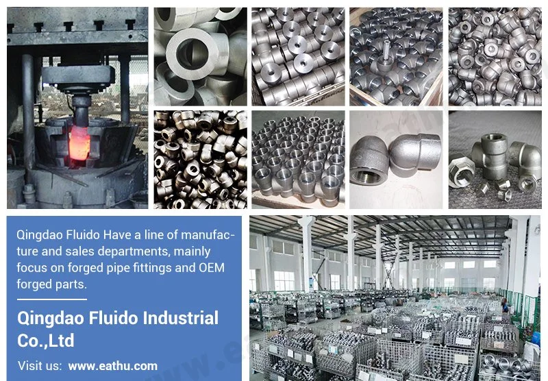 ASME B16.11 High Pressure 2000 3000 6000 9000 Forged Carbon Steel Pipe Fittings Hex Nipple Threaded Fittings